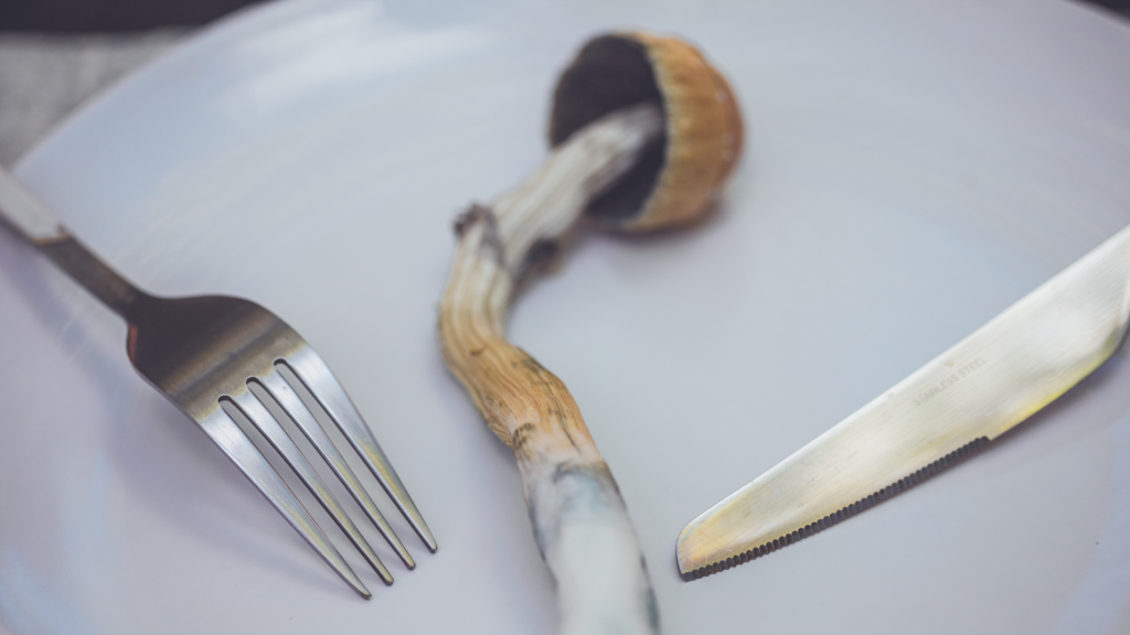 shroom on a plate with knife and fork