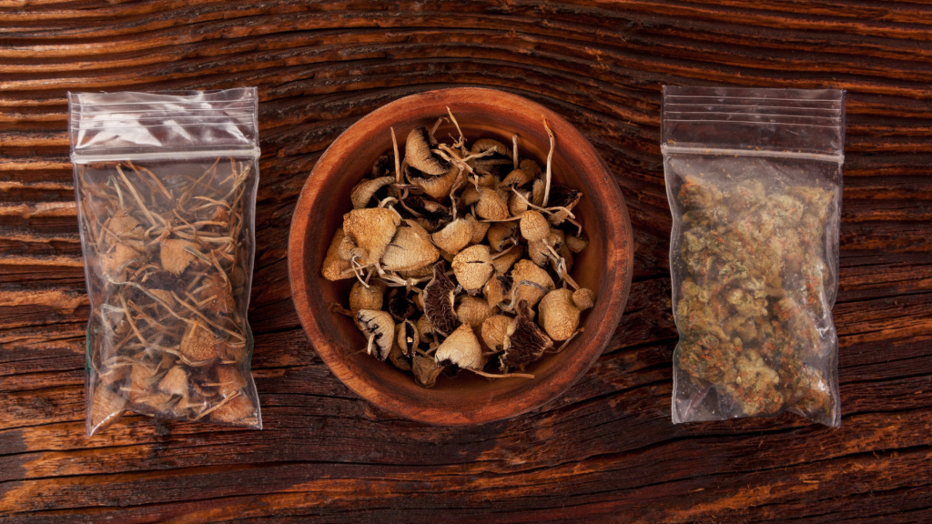 shrooms in a bowl and some bags on a table