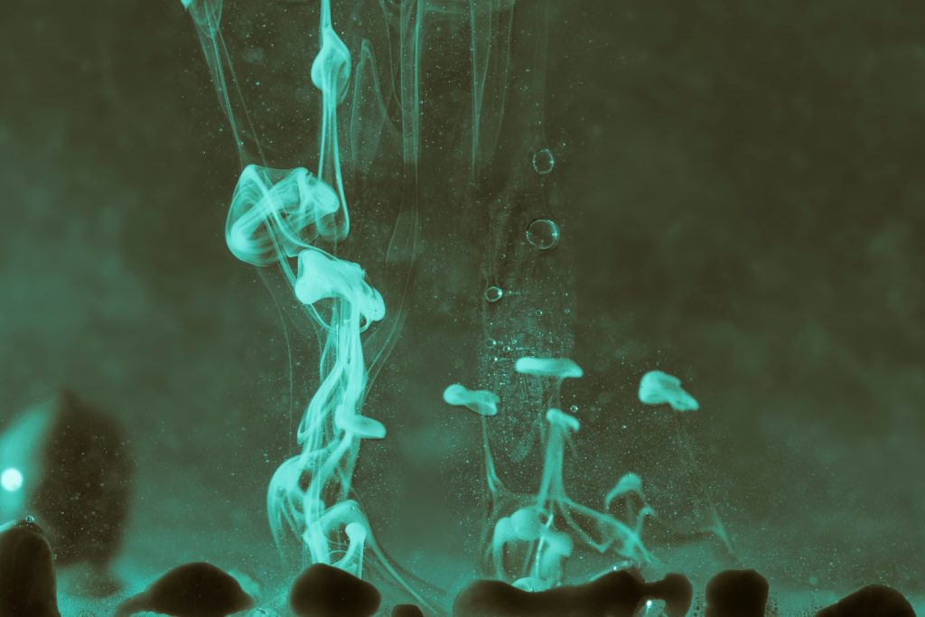 who made psilocybin magic mushroom made from green smoke