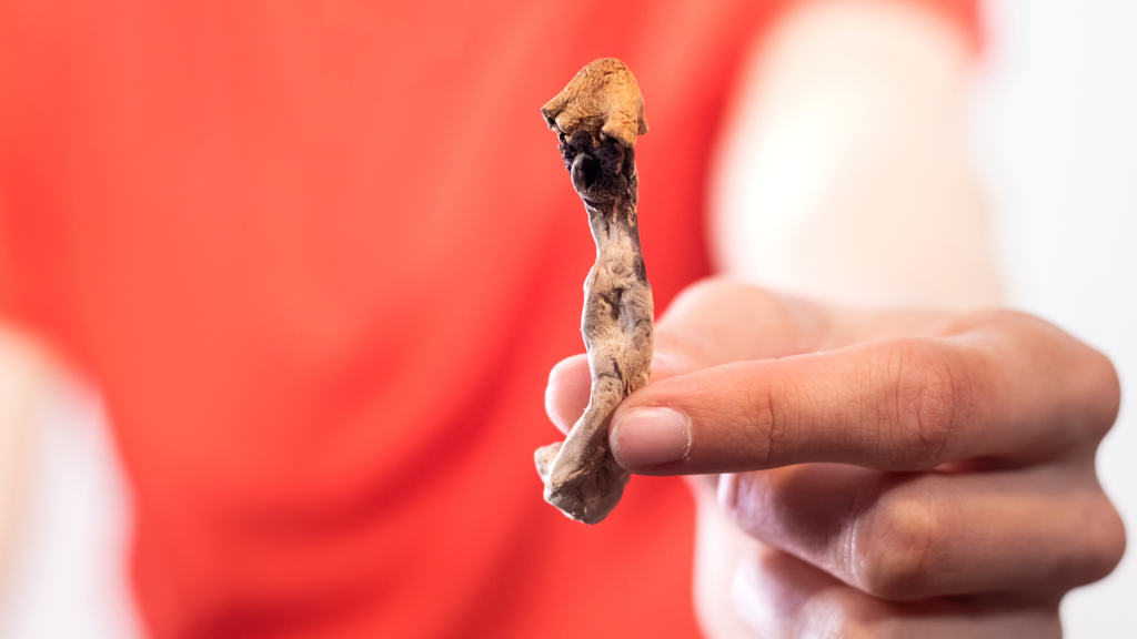 magic shroom held in hand