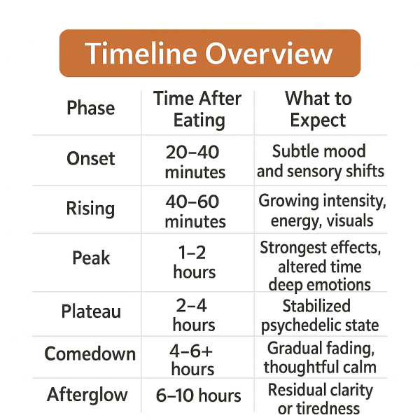 How Long Do Magic Mushroom Gummies Take to Kick In