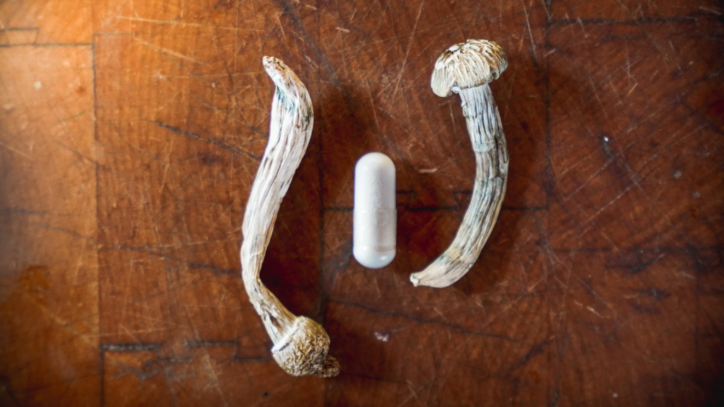 magic mushrooms and a capsule on table