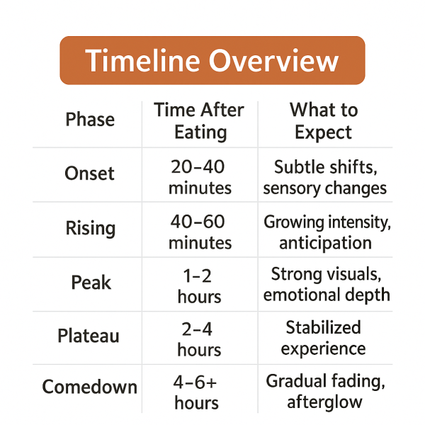 How Long Do Shrooms Take to Kick In graph with timeline