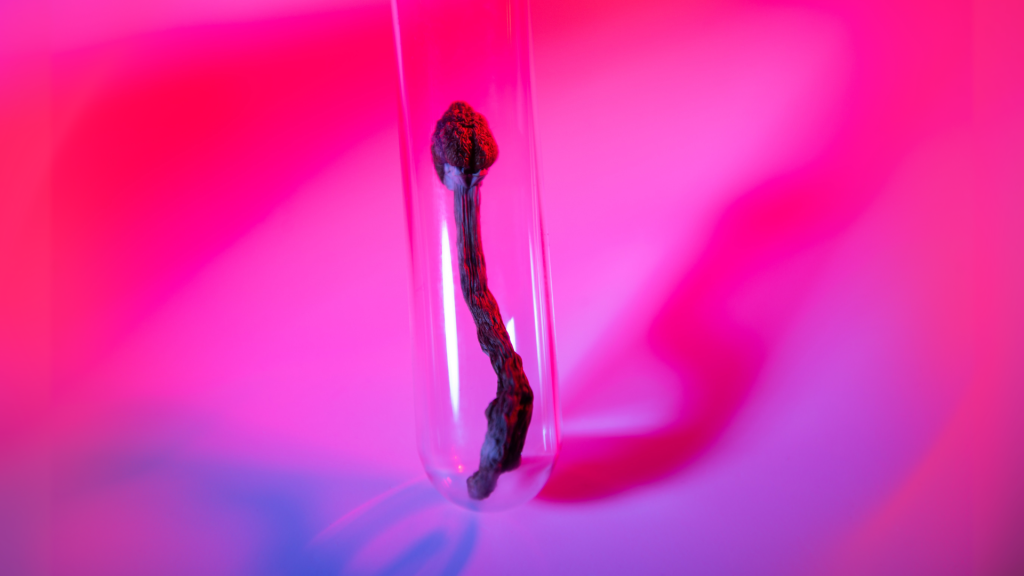 Magic mushroom in a beaker
