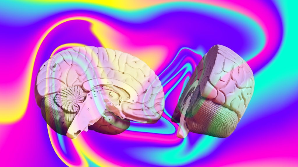 Shroom Dosage Explained How Much You Really Need to Feel the High cover photo with a brain