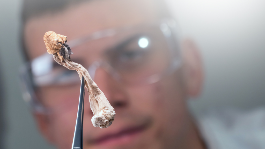 Shroom held by a scientist