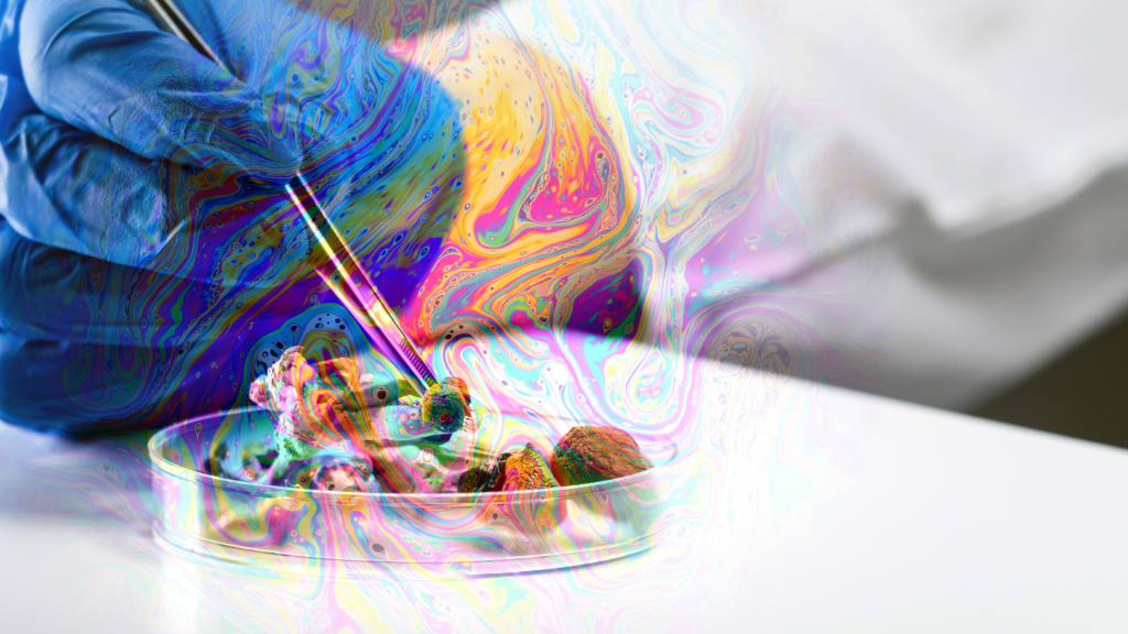 scientist with magic mushrooms in a lab