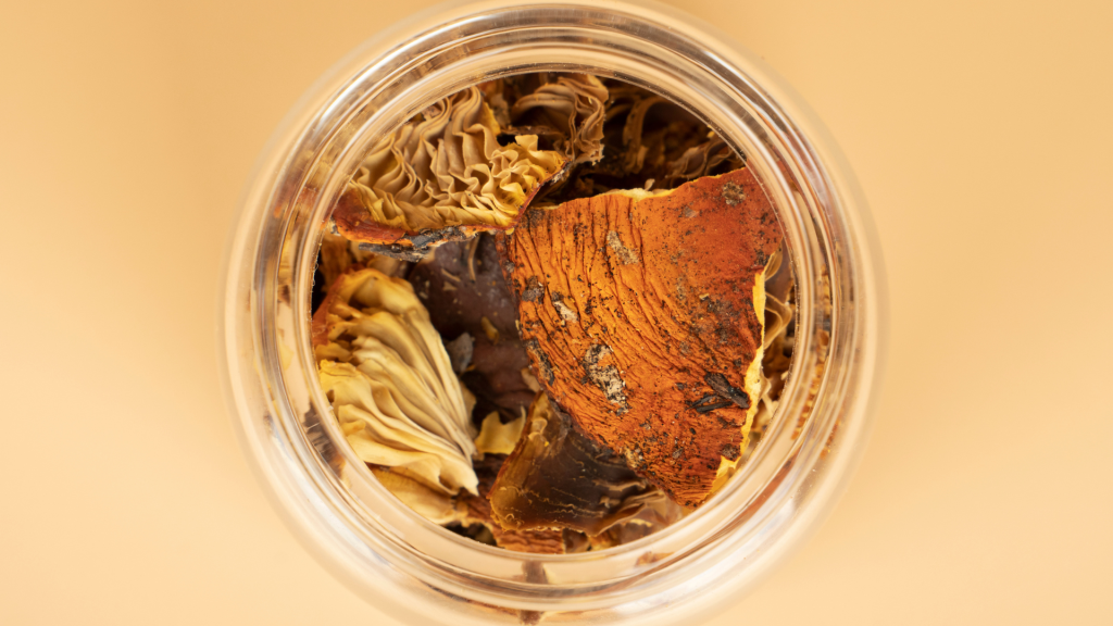 Dried magic mushrooms in a jar