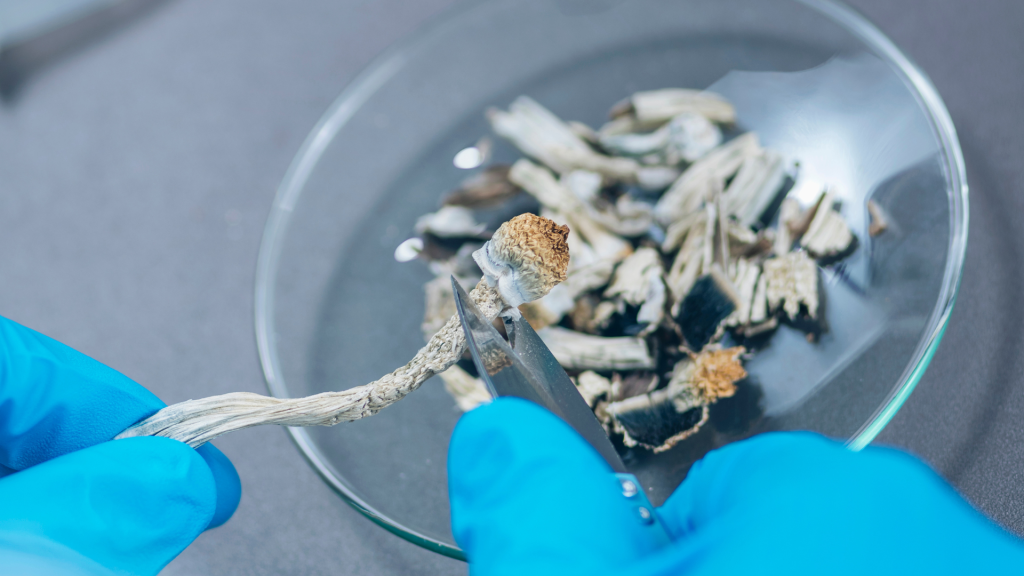 scientist with some magic shrooms