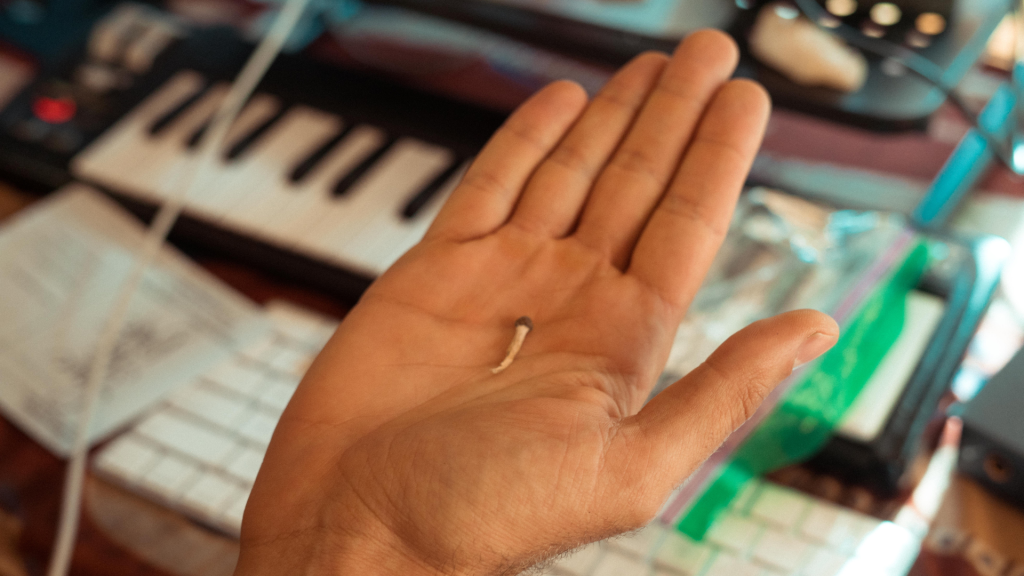 magic shroom spore on a hand