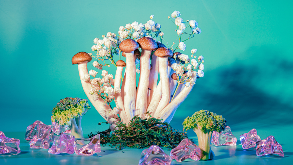 magic shrooms in front with some vegetation