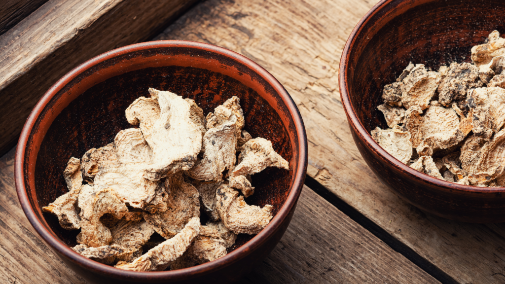 Magic Mushrooms in pots