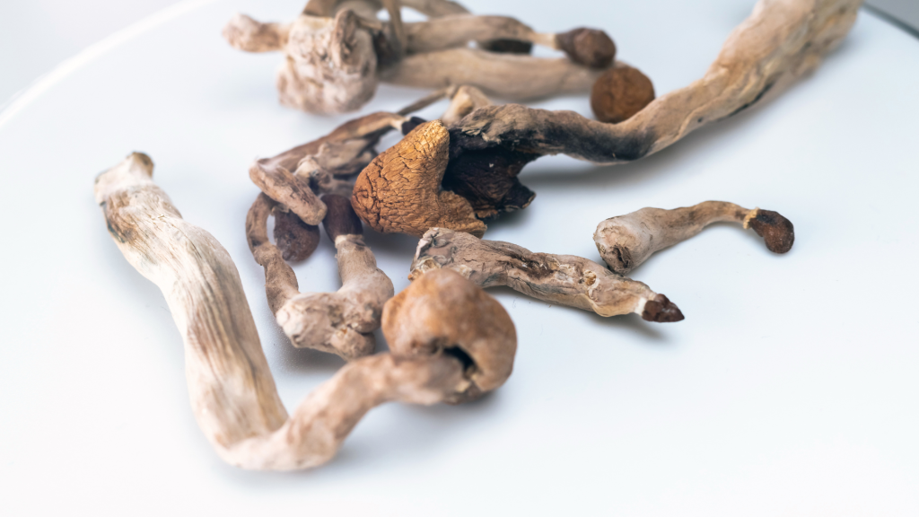 magic shrooms on a table