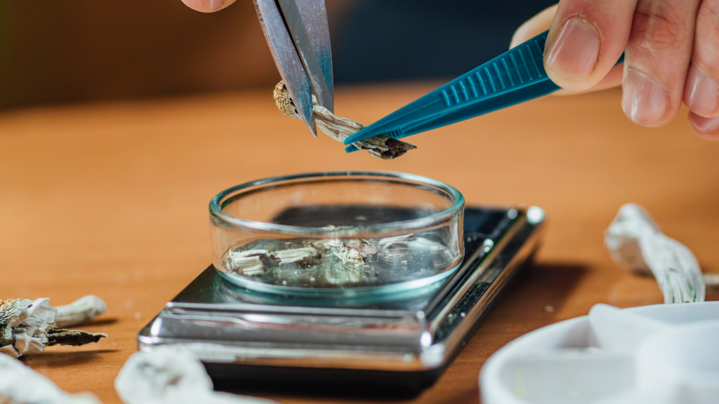 measuring shrooms on a scale