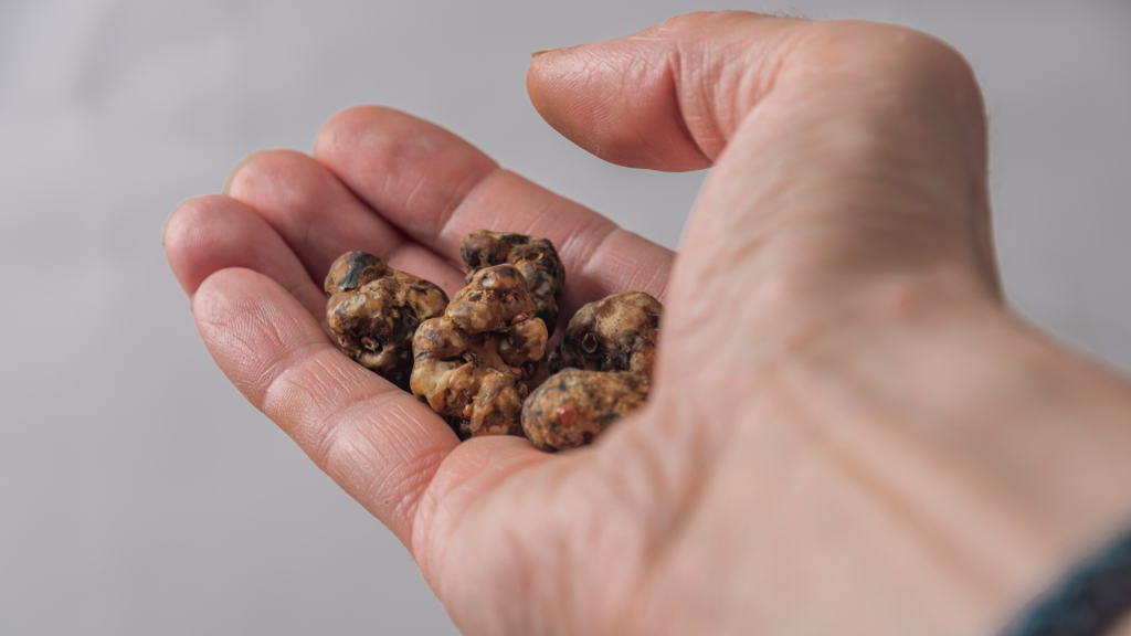 shrooms held in a palm of a hand