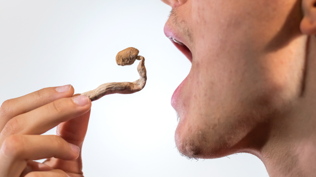 man eating shrooms