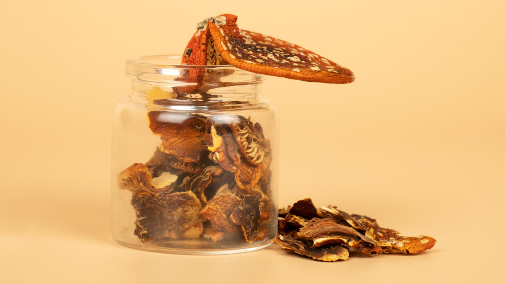 shrooms in a jar