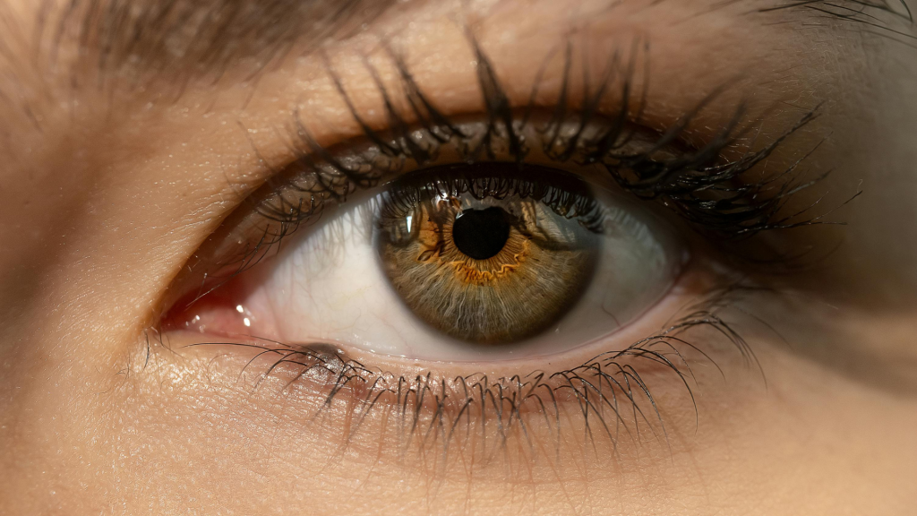 a closeup on an eye